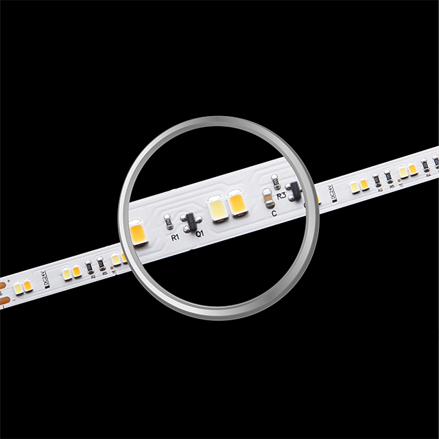 SMD2835 120 LEDs 19,2 W Dim to Warm LED Strip Light