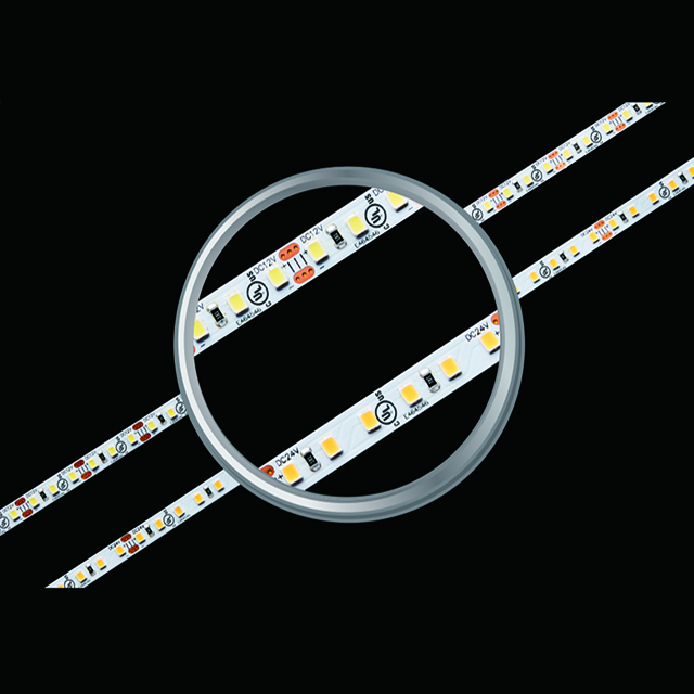 Fita LED branca CRI95 dente 6500K